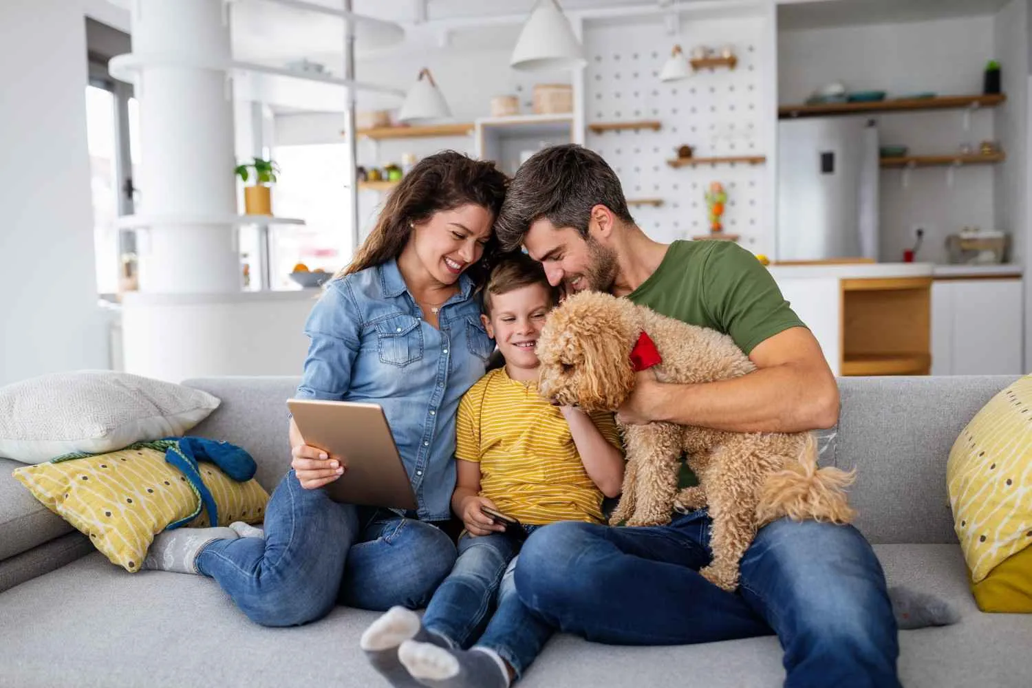WiiHomes story and approach to home insurance